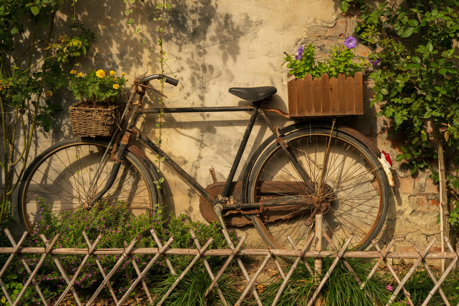 Quem inventou a bicicleta? Veja a história completa