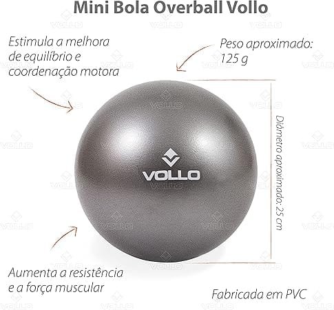 Mini Bola De Exercicios Cinza 25cm Vollo - 3