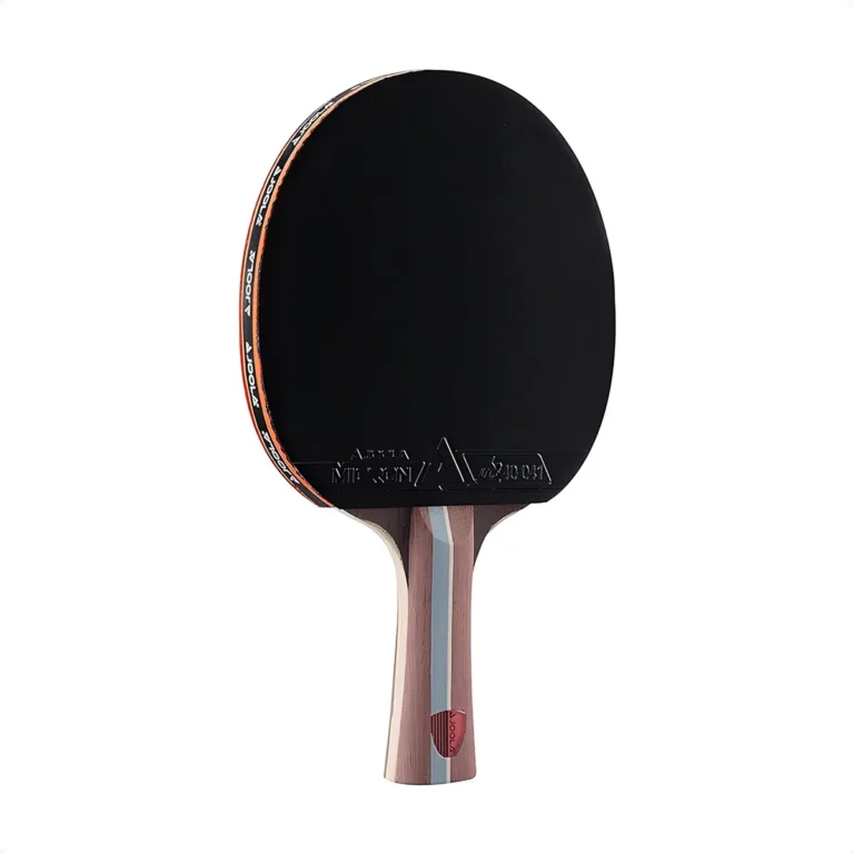 Raquete Tênis de Mesa Joola Infinity Balance